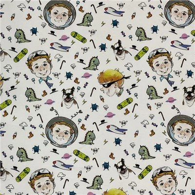 ڈیجیٹل پرنٹنگر کاٹن ٹوئل فیبرک