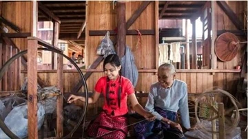 میانمار کا سب سے مہنگا لوٹس روٹ سلک ٹیکسٹائل، کپڑے بنانے کے لیے لوٹس روٹ اسٹی...